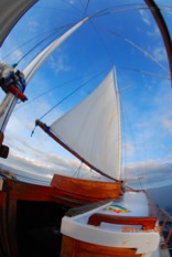 The Boat - Gili Air Meno Divers - Antares Liveaboard Komodo - Croisieres Plongee - Indonesie - Indonesia - Bali - Flores